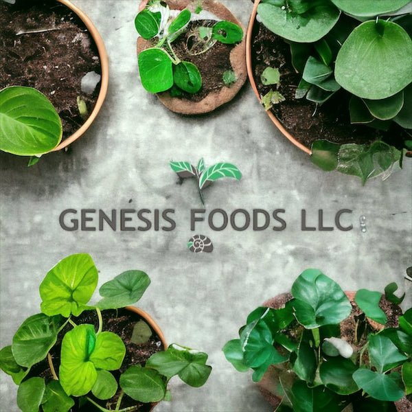 GENESIS FOODS LLC